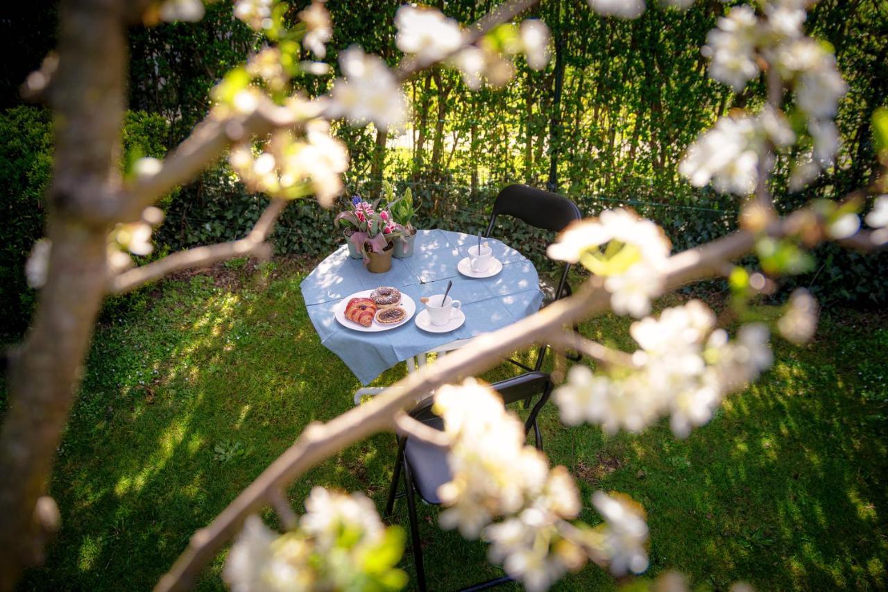 My Sweet Garden - By Myhomeincomo Cassina Rizzardi Dış mekan fotoğraf